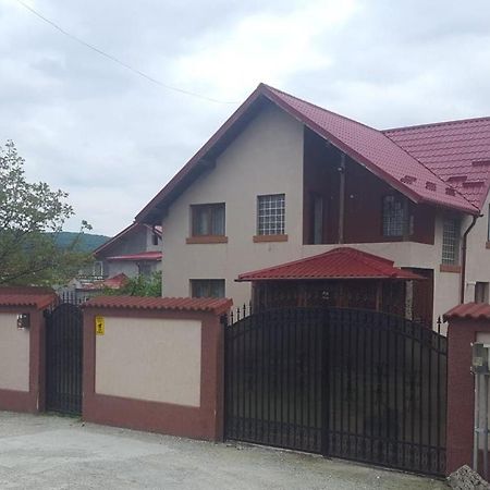 Vila De Vacanta Куртя-де-Арджеш Экстерьер фото