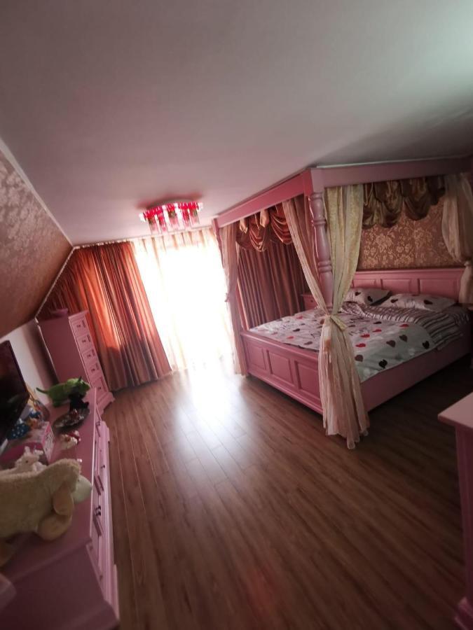 Vila De Vacanta Куртя-де-Арджеш Экстерьер фото