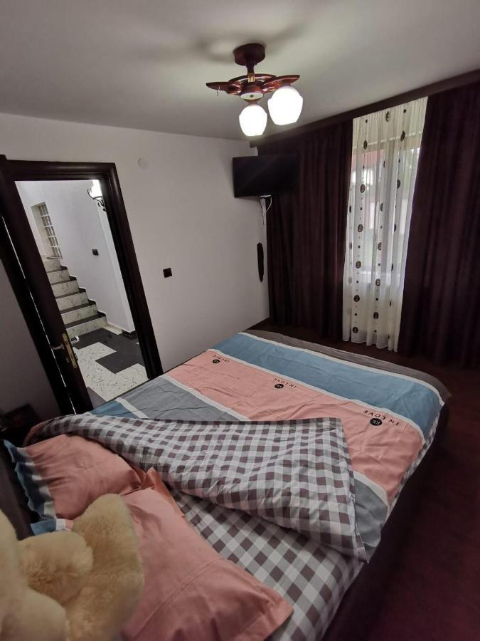 Vila De Vacanta Куртя-де-Арджеш Экстерьер фото
