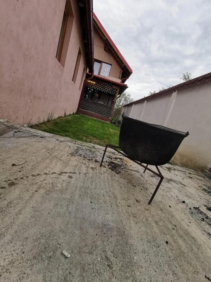 Vila De Vacanta Куртя-де-Арджеш Экстерьер фото