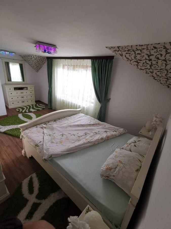 Vila De Vacanta Куртя-де-Арджеш Экстерьер фото