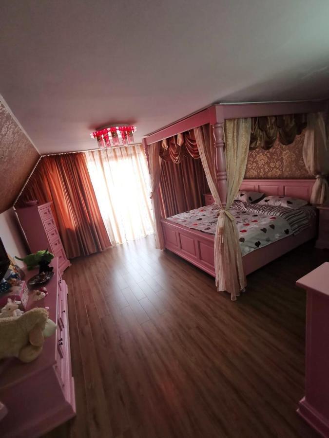 Vila De Vacanta Куртя-де-Арджеш Экстерьер фото